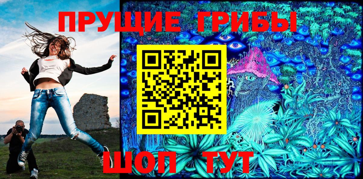 Галлюциногенные грибы Psilocybine cubensis Ачхой-Мартан