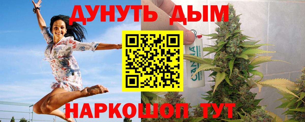 Марихуана VHQ  Канабис планчик  Ачхой-Мартан  МАРИХУАНА сатива  Каннабис White Widow 